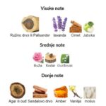 Xerjoff Alexandria II - Image 2